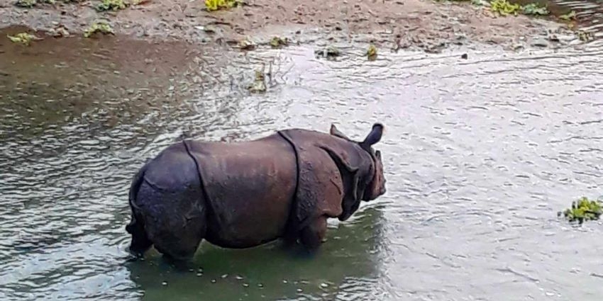 Chitwan National Park
