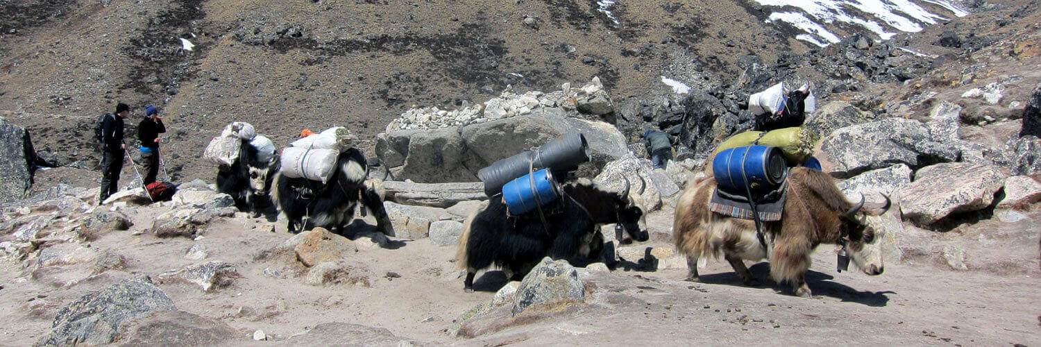 Everest Base Camp Trek